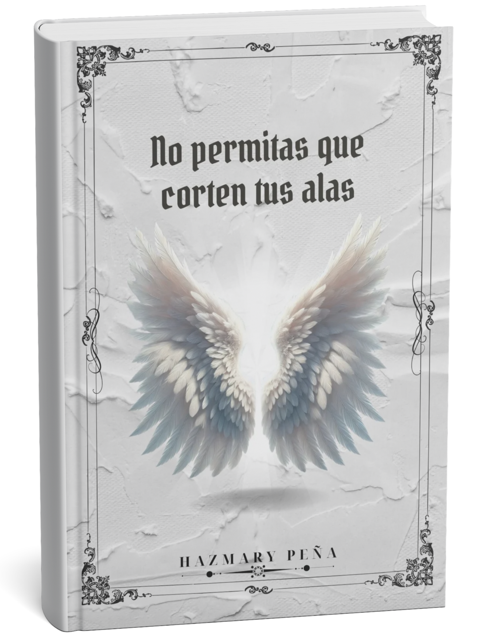 mockup de libros (2)